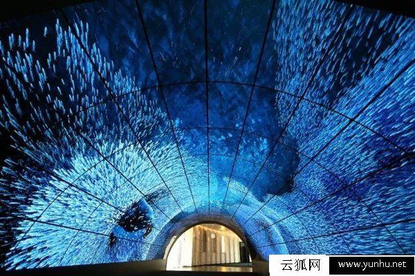 LED和OLED的哪个好？带你了解OLED和LED的区别