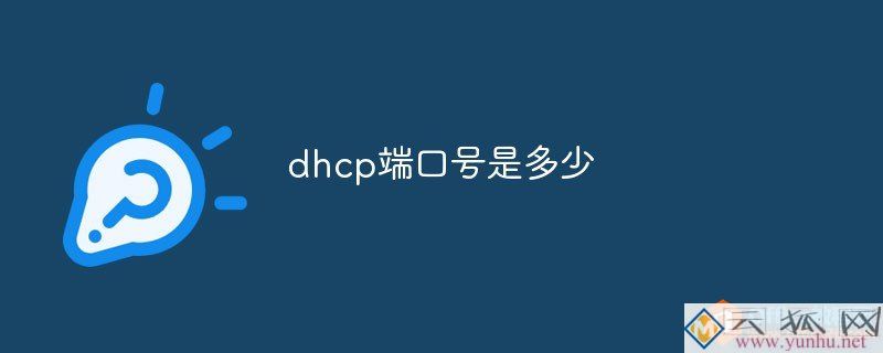 dhcp端口号是多少