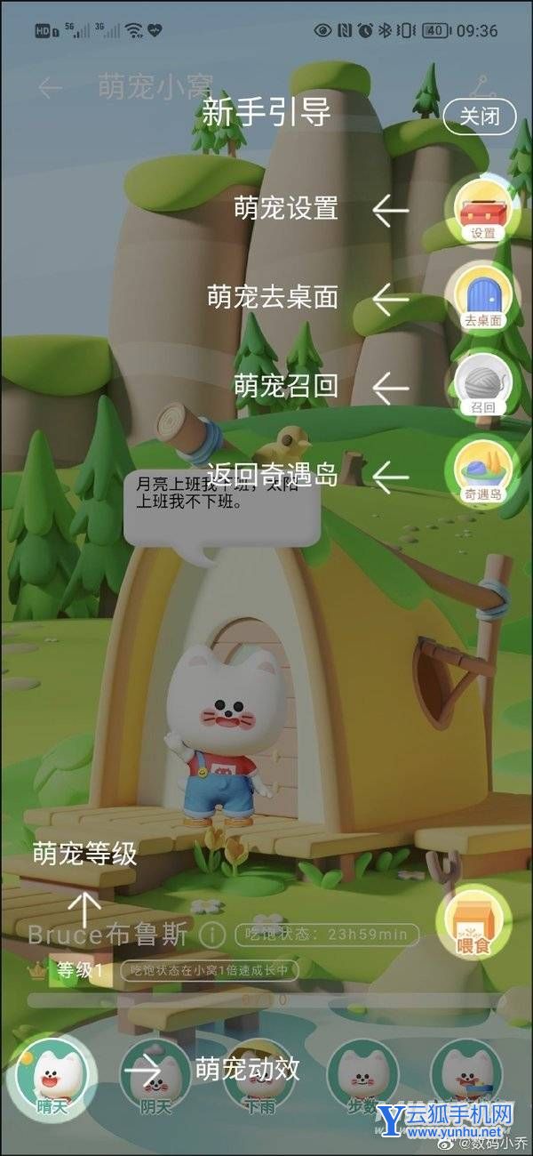 华为p50怎么设置桌面宠物-在哪里可以设置