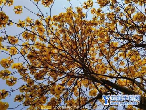 真我GTNeo3光速秒充版拍照怎么样-手机拍照测评