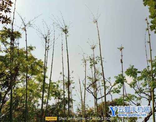 真我GTNeo3光速秒充版拍照怎么样-手机拍照测评