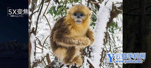 荣耀Magic4至臻版影像系统怎么样-手机影像好吗