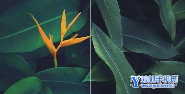 荣耀Magic4Pro开箱评测-真机上手测评