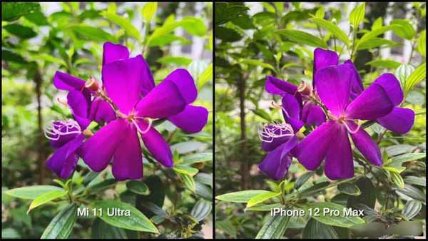 小米11ultra和iphone12ProMax拍照哪个好对比评测(图2)