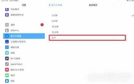 ipadpro2021怎么手动息屏(图3)