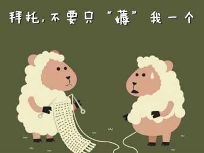 薅(hao)羊毛又是什么梗?网络词薅羊毛是什么意思咧?