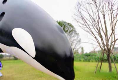 红米k30s为什么拍照片太白了(图8)