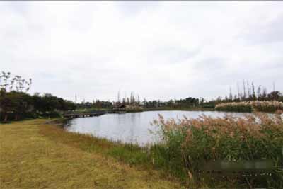 红米k30s为什么拍照片太白了(图5)