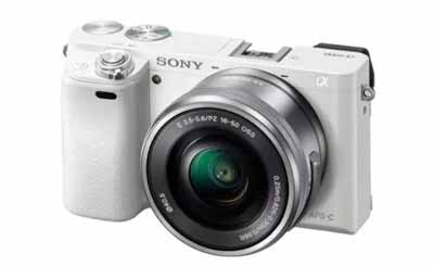 尼微单相机哪款性价比高，索尼a6000和a5100区别大吗(图文)