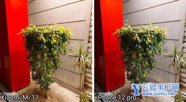小米11与iPhone12Pro谁的拍照更好看-手机拍照评测