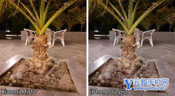 小米11与iPhone12Pro谁的拍照更好看-手机拍照评测
