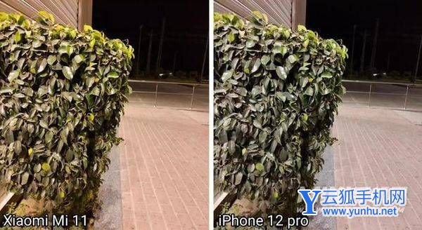 小米11与iPhone12Pro谁的拍照更好看-手机拍照评测