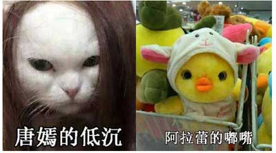 马思纯的微笑是什么梗?(图文)