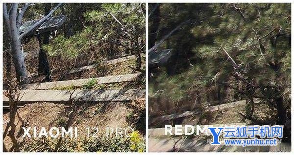 小米12Pro和红米k50Pro拍照对比-手机拍照对比
