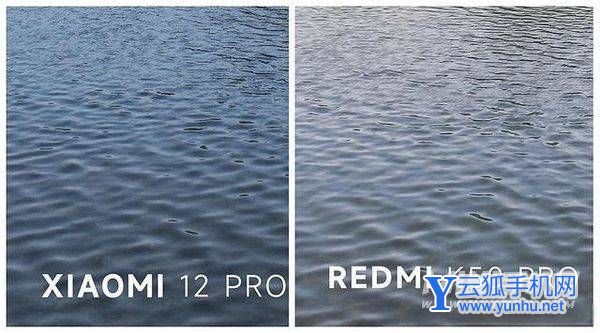 小米12Pro和红米k50Pro拍照对比-手机拍照对比