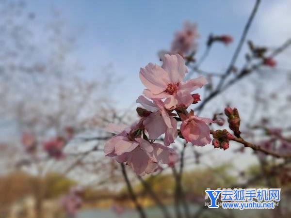 三星A53拍照怎么样-摄像评测