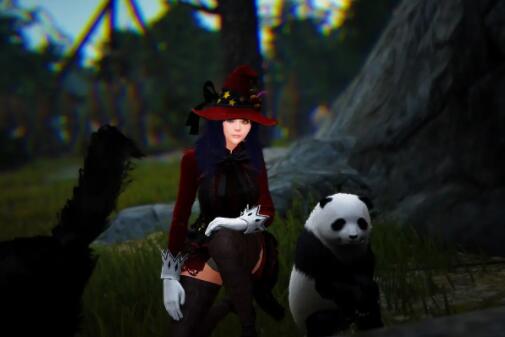 黑色沙漠宠物怎么用