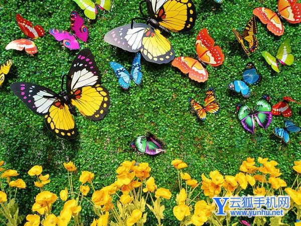 荣耀Play6T拍照怎么样-摄像评测