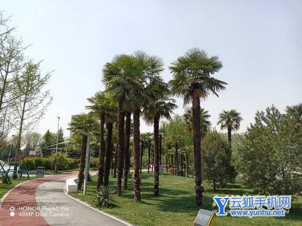 荣耀Play6TPro有哪些好用的拍照玩法-手机拍照玩法介绍