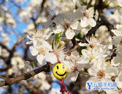 2022年的红米note11Pro还可以入手吗-手机性价比还好吗