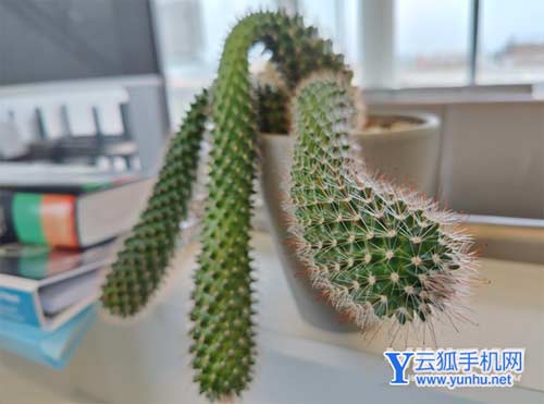 一加10Pro可以入手吗-手机性价比高吗