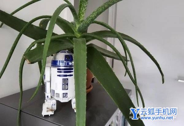 三星TabS8Ultra拍照怎么样-摄像详情