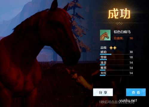 诺亚之心怎么抓野马5