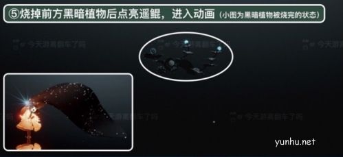 光遇潜海季季节任务五完成攻略5