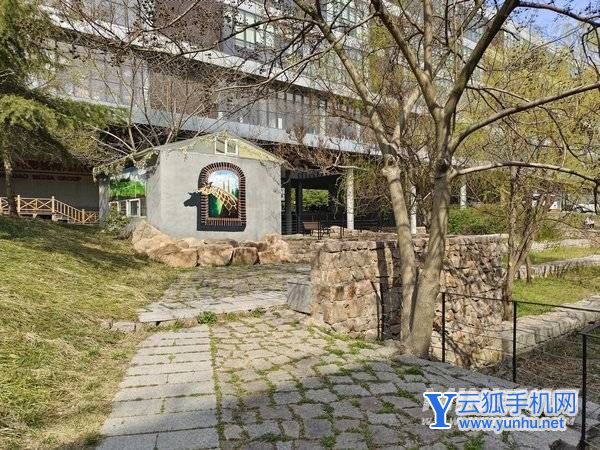 iqooneo6拍照怎么样-摄像评测