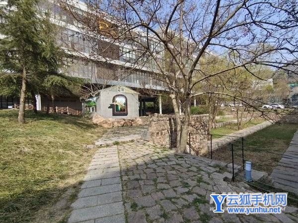 iqooneo6拍照怎么样-摄像评测