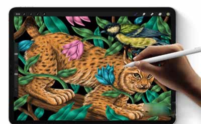 苹果iPadpro 2021款屏幕刷新率是多少(图文)