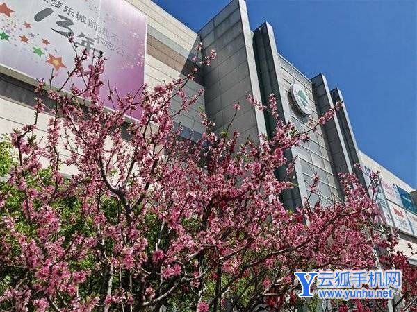 荣耀Magic4至臻版拍照怎么样-手机影像评测