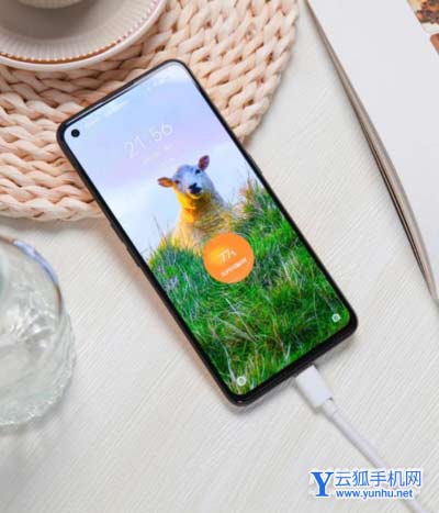 真我q5pro最严重的缺点-手机骂声一片的地方