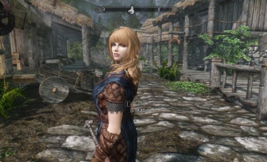 上古卷轴5装什么mod好