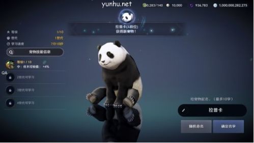 黑色沙漠手游熊猫任务完成攻略5