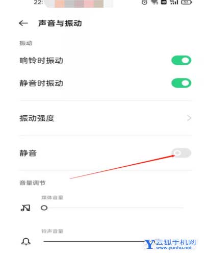 一加ace有静音按键吗-手机怎么静音