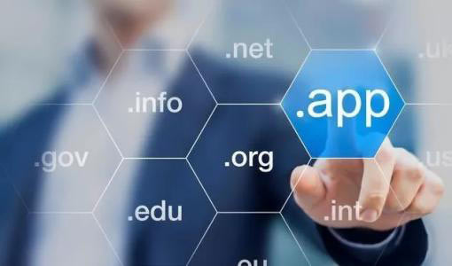app 域名