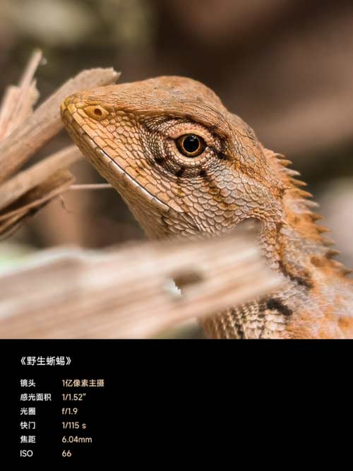 红米k50pro夜景拍摄-手机夜景拍照怎么样