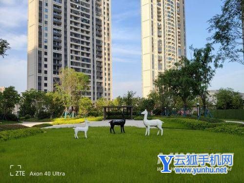 中兴Axon40Ultra夜景拍照-手机拍照实测