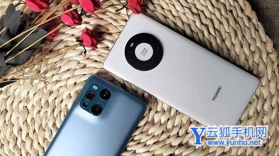 鼎桥m40与华为mate40手机参数对比区别大吗？