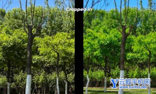 vivoX80对决iPhone13Pro拍照-谁的拍照性能更好