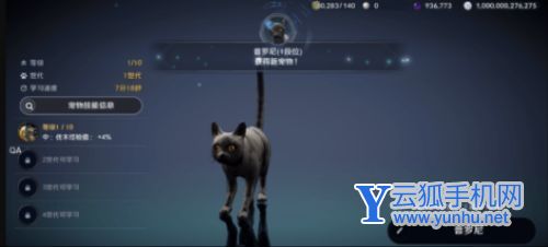 黑色沙漠手游清蒸香鱼怎么获得4