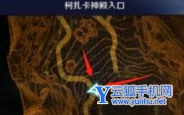 黑色沙漠硕大而特别的花在哪2