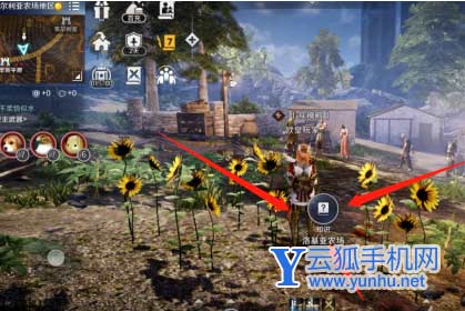 黑色沙漠手游洛基亚农场知识获取位置攻略2