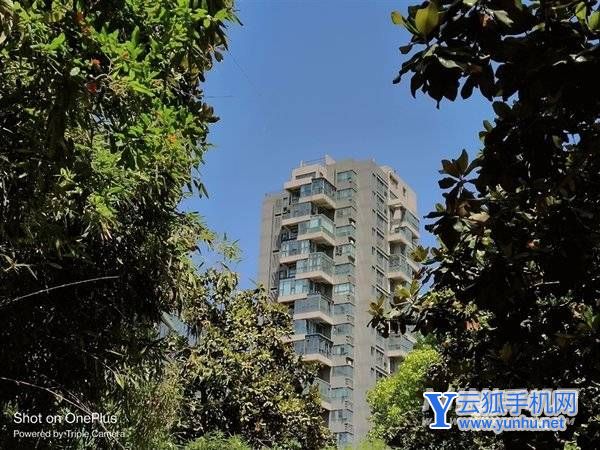 1899元最强LCD旗舰！一加Ace竞速版评测：帧率最稳 控温最狠