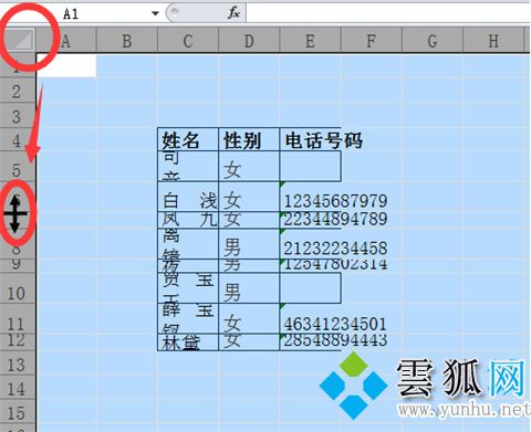 行高在excel表哪里调 行高在excel表中的四种快捷调整方法
