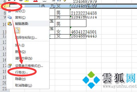 行高在excel表哪里调 行高在excel表中的四种快捷调整方法