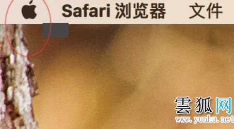 苹果电脑怎么看内存 在哪里查看苹果电脑内存大小