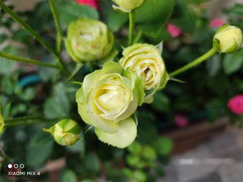 小米mix4摄像头参数是什么-各个摄像头的性能怎么样(图文)