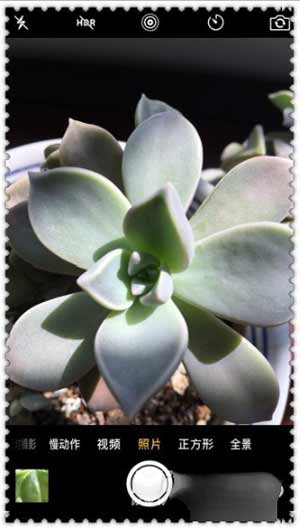 iPhone13怎么拍微距-怎么拍微距好看(图文)